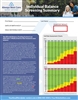 Individual Balance Screening Summary Flyer